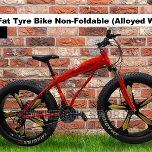 Nice Profile Bike