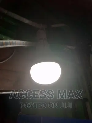 Chargeable Light Bulbs