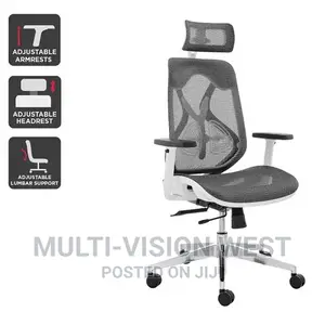 Ergonomic Office Chair