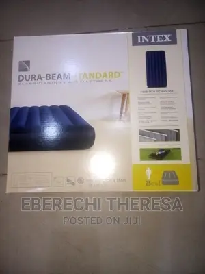 STANDARD DURA BEAM Inflatable Bed With Two Pillow