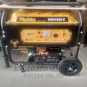 Robin Copper Coil Generator With Key Start Made In Japan