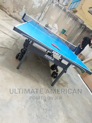 Outdoor Table Tennis USA Approve