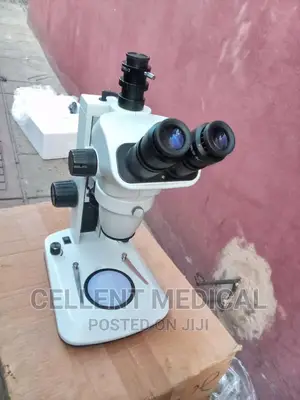 Dissecting Microscope