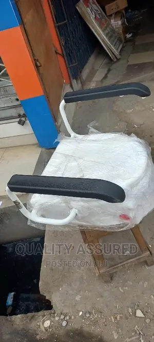 Disabled Wc Cover and Handle