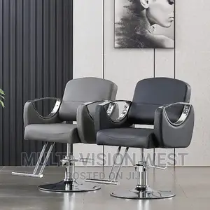Salon Chairs With Abs