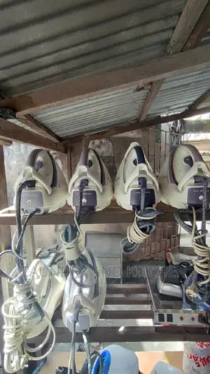 Tefal Industrial Steam Iron in Different Types of Colours