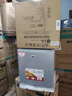 Best Cooling Lg Bed Side Refrigerator With Top Freezer