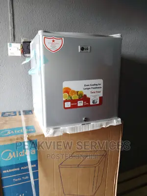 Trending Quality Freestanding FLG-88l Bed Side Fridge (Lg)