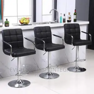 Bar Stool/Chair