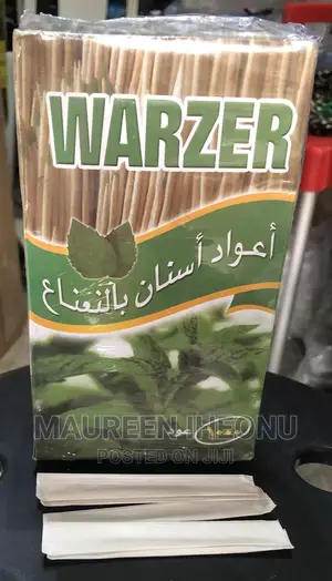 Wrapped Toothpick - 1000 PCS