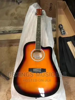 Original Smiger Semi-acoustic Guitar Ga-h60