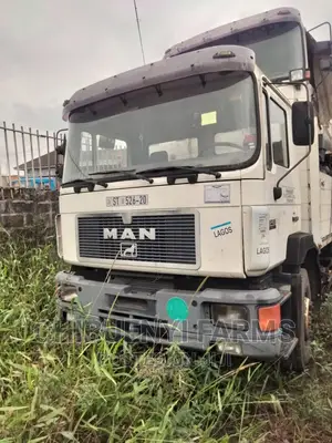 Man Diesel 10 Tyres (Spring-Spring)