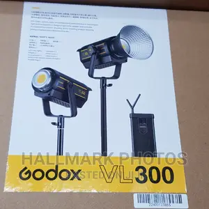 Godox VL300