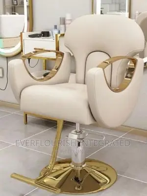 Classy Barbing Salon Chair