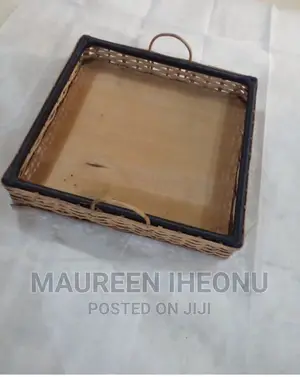 Big Food Tray