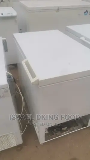 Industrial Electric London Used 250 Litres Deep Freezer