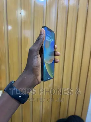 Apple iPhone 12 Pro Max 128 GB Black