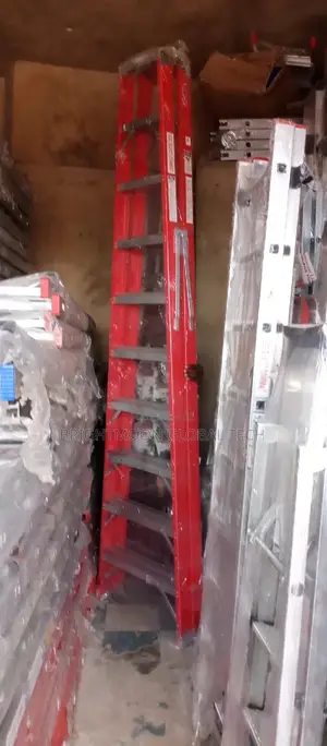10ft 2 Step Ladder