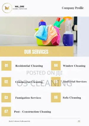 Laundry, Cleaning And Fumigation Services