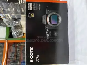 Sony A7 Iii Mirrorless Camera
