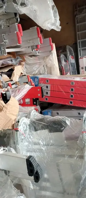 All Kinds of Ladder 2