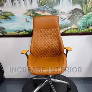 Quality Imported Executive Director Ergonomic Chair