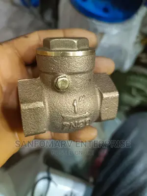 Brass Non Return Valve