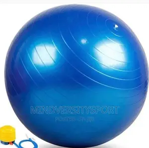 Gym Ball for Exercise