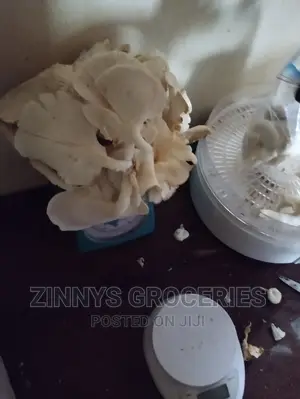 Fresh And Dried Mushroom