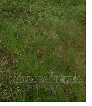 51 Acres Along Oshodi Apapa Express Way, for Sale