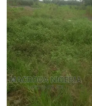 24 Bay Warehouse Along Oshodi Apapa Exp Way on 13.5acres