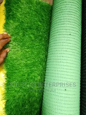 Artificial Grass