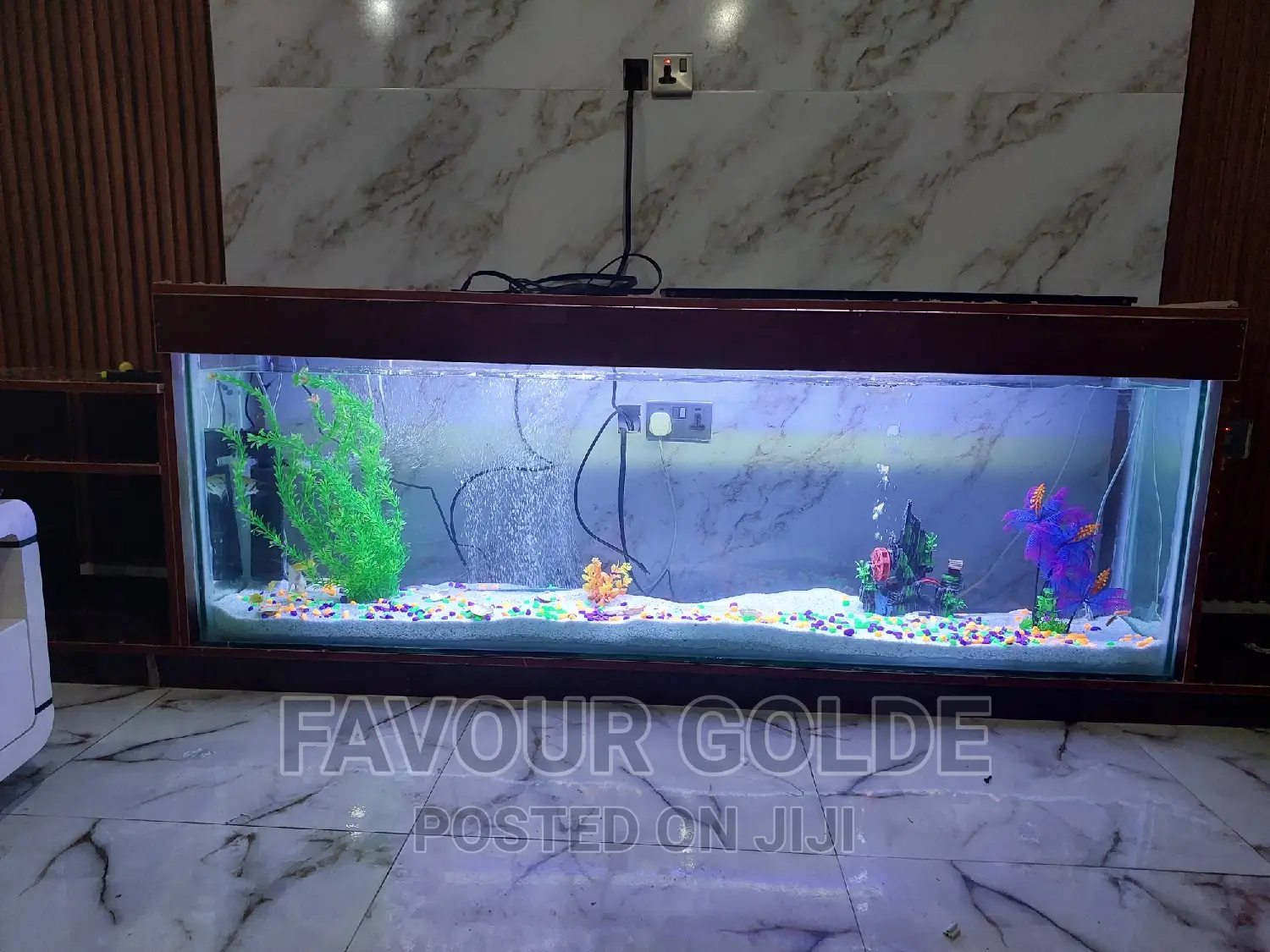 Aquarium Interior
