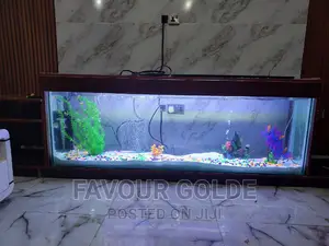Aquarium Interior