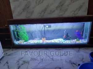 Aquarium Interior