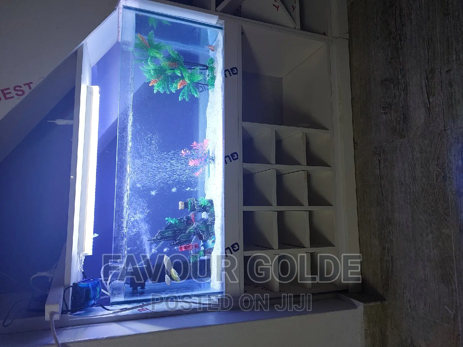 Aquarium Home Interior
