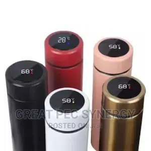 LED Temperature Flask.