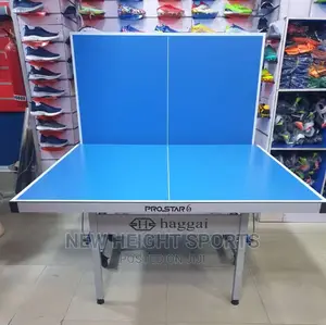 German Giant Outdoor Table Tennis