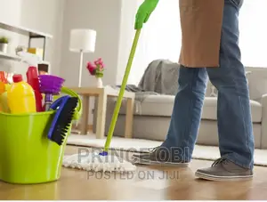 House Cleaning Services