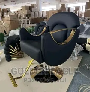 Barbing Sallon Chair