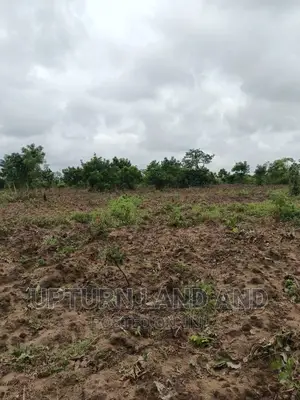 300 Acres of Land for Sale at Cheaper Price in Osun State