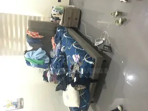 Prof House Cleaning Serviceee