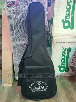 Paded Leather Guitar Bag