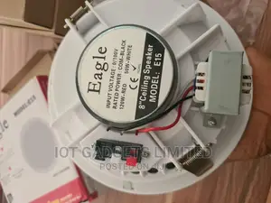 Frameless Ceiling Speaker
