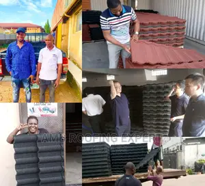 Amb Stone Coated Roofing Expert Korea/Newzealand