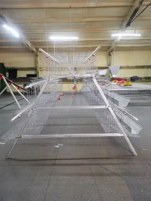 96 Cheap High Premium Foreign Cage With 20 Years Guarantee