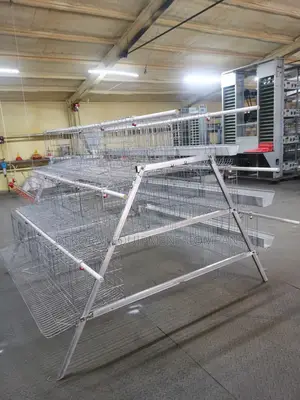 2024 Latest 20 Years +High Quality Imported 120 Birds Cage