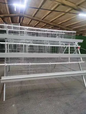 2024 Unbeatable Super High Quality Foreign 96 Birds Cage