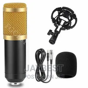BM800 Microphone
