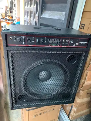 Bass Guitar Combo
